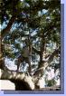 0121aut_3714