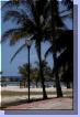 0169aut_3816