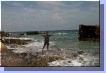0240aut_3952
