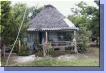 0343aut_4110