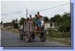 0368aut_4135