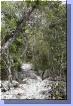 0393aut_4230