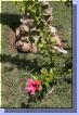 aut_1256